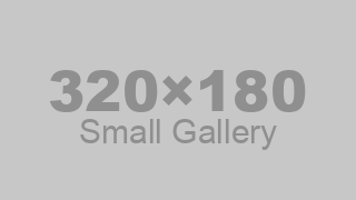 Small Gallery