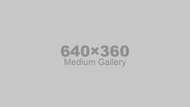 Medium Gallery